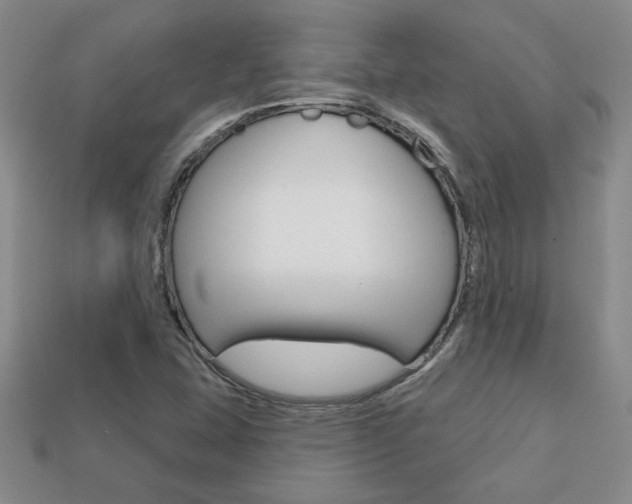 X0000113861407200909241016