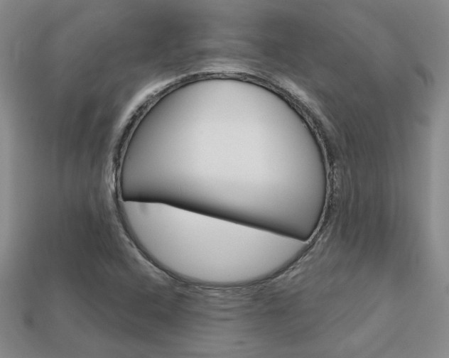 X0000113861408200909241016