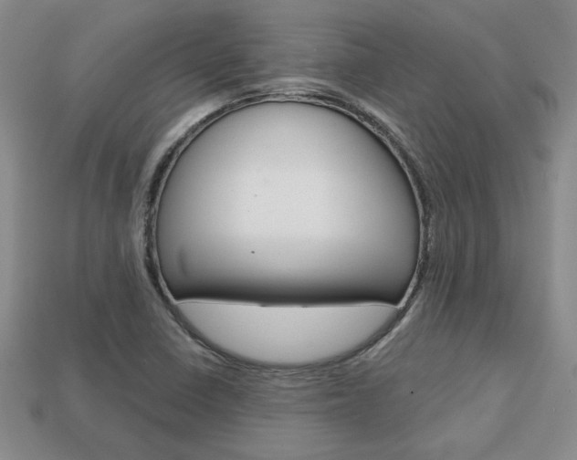 X0000113861410200909241016