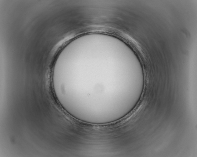 X0000113861411200909241016