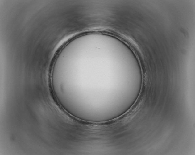 X0000113861412200909241016