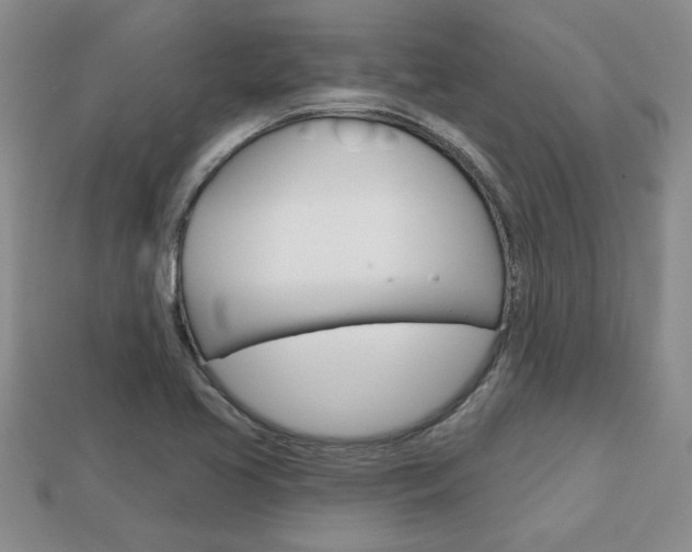 X0000113861413200909241016