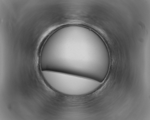X0000113861414200909241016