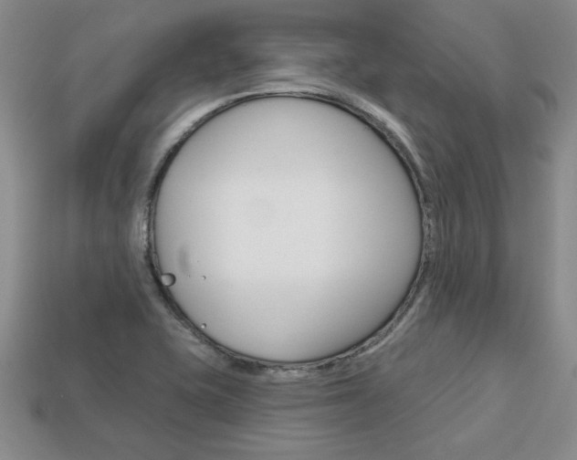 X0000113861415200909241016