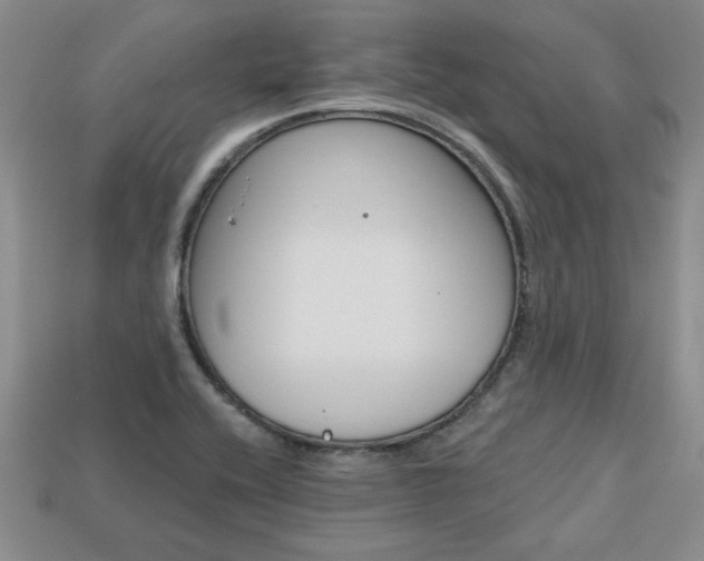 X0000113861416200909241016