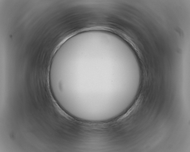 X0000113861417200909241016