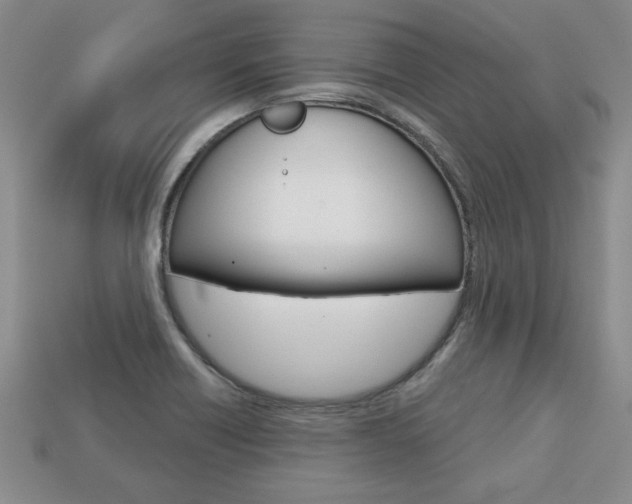 X0000113861418200909241016