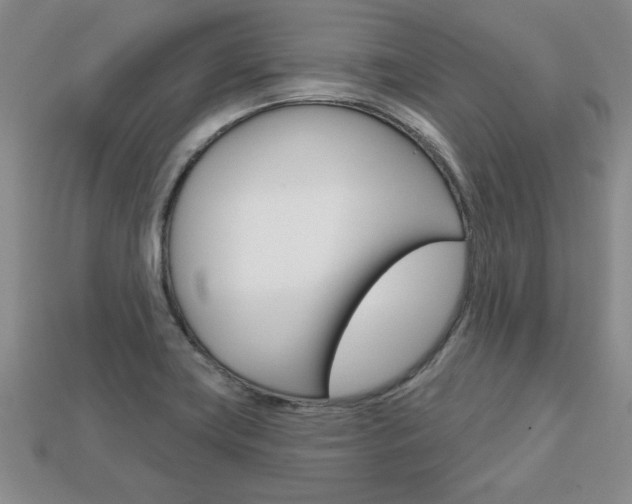 X0000113861419200909241016