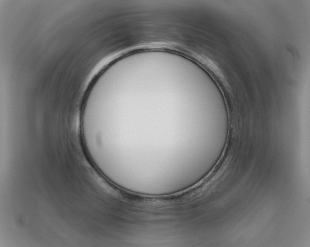 X0000113861420200909241016