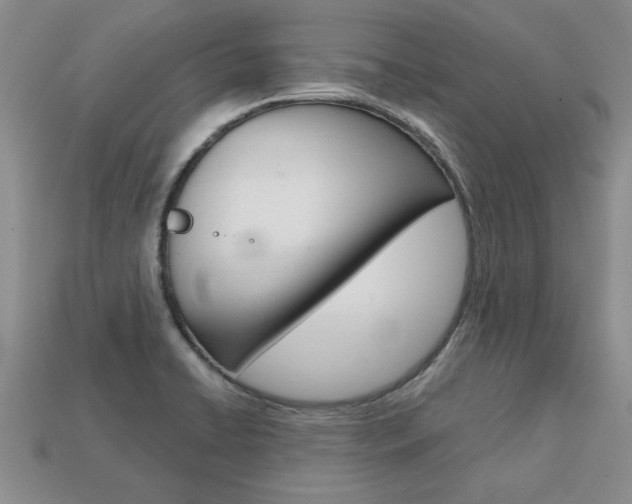 X0000113861422200909241016