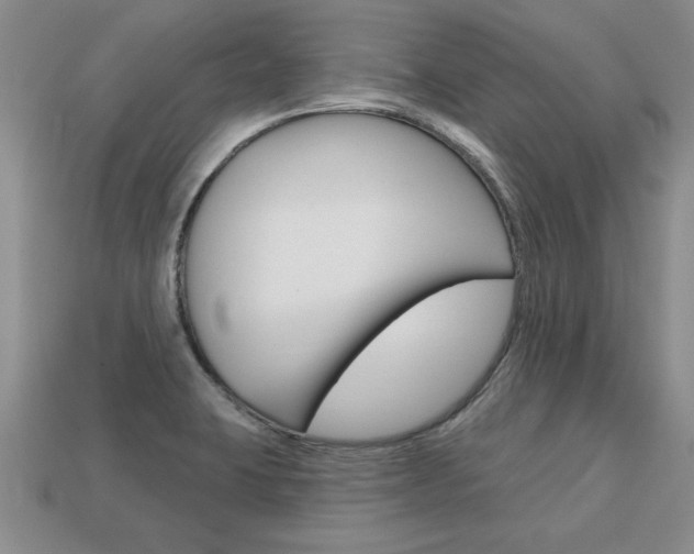 X0000113861423200909241016