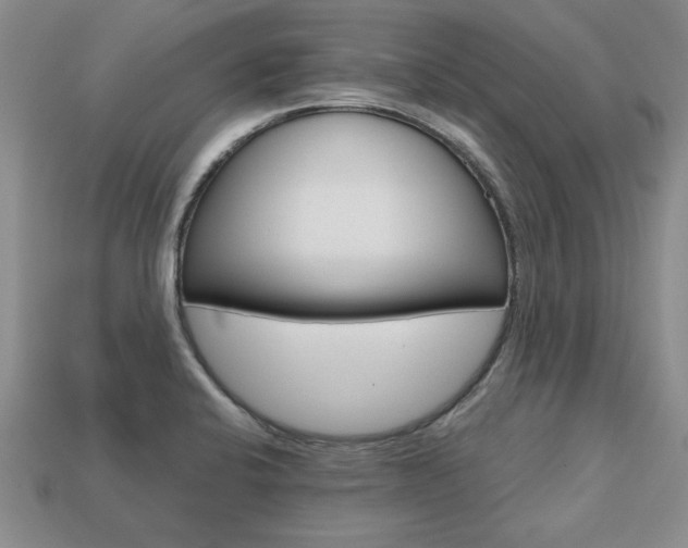 X0000113861424200909241016