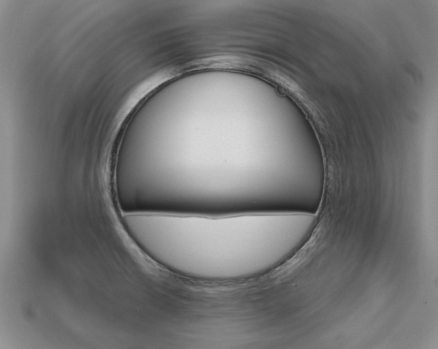 X0000113861426200909241016