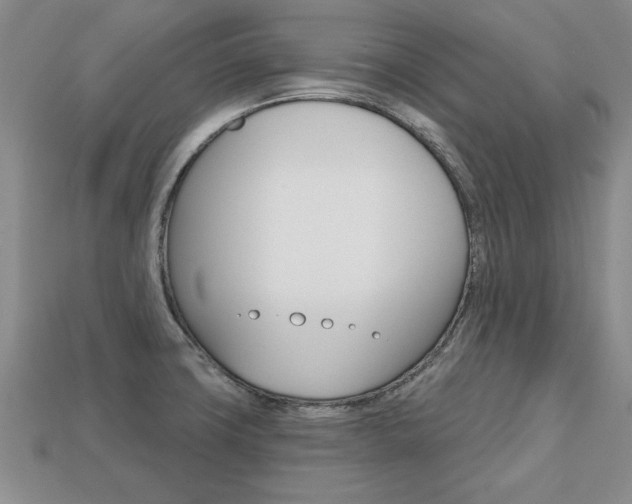 X0000113861427200909241016
