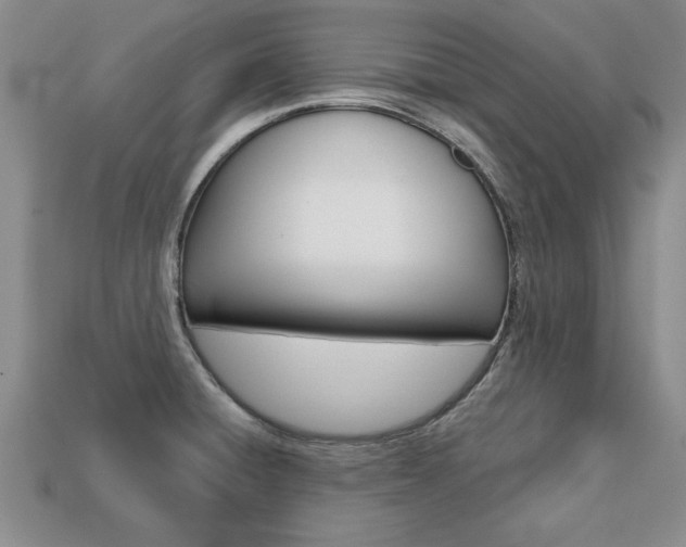 X0000113861428200909241016