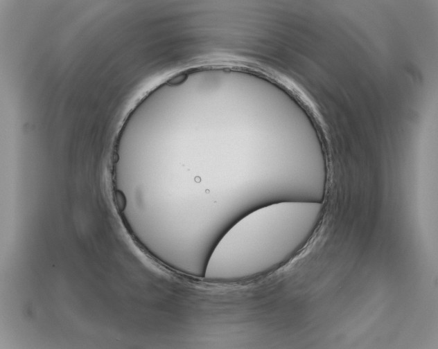 X0000113861429200909241016