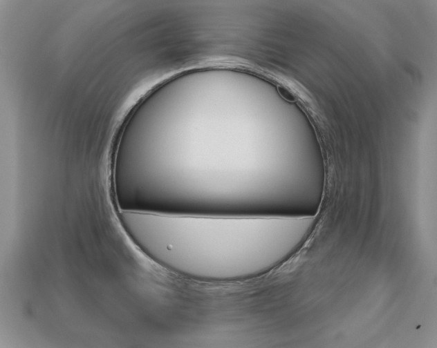 X0000113861430200909241016