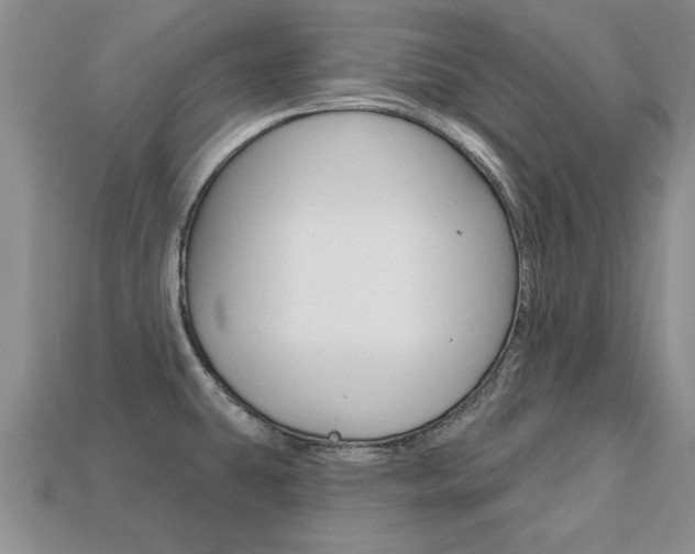 X0000113861431200909241016