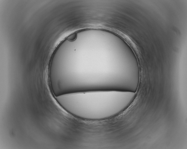 X0000113861432200909241016