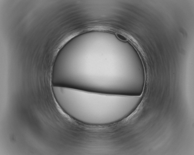 X0000113861433200909241016