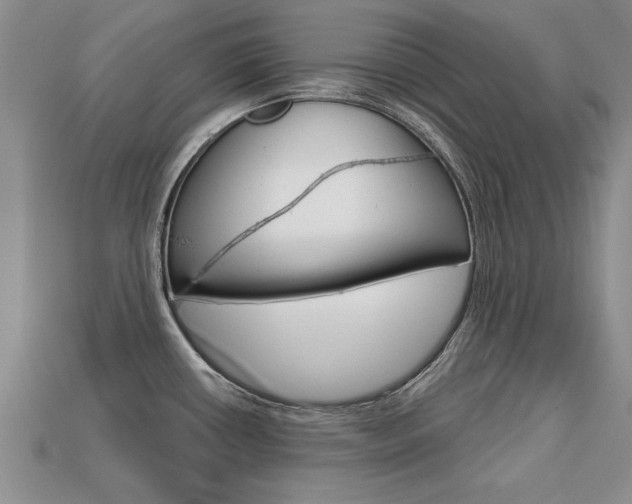 X0000113861434200909241016