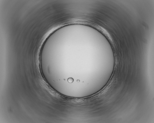 X0000113861435200909241016