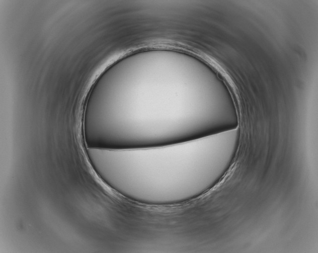 X0000113861437200909241017