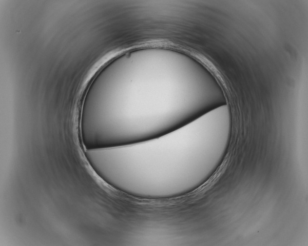 X0000113861438200909241017