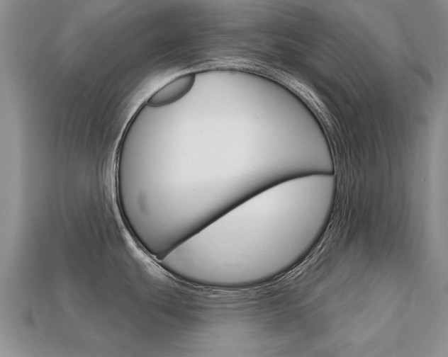 X0000113861439200909241017