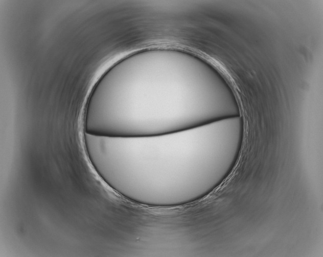 X0000113861440200909241017