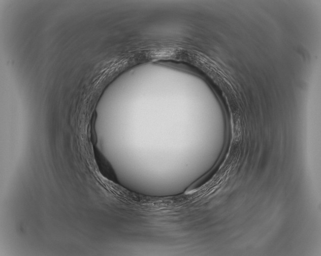 X0000113861441200909241016