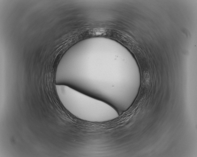 X0000113861442200909241016