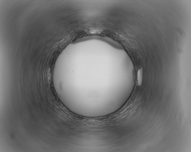 X0000113861443200909241016