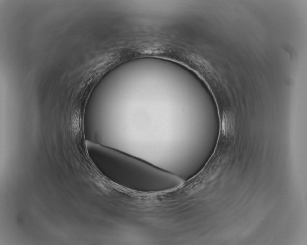 X0000113861444200909241016