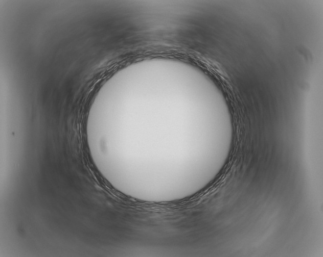 X0000113861445200909241016