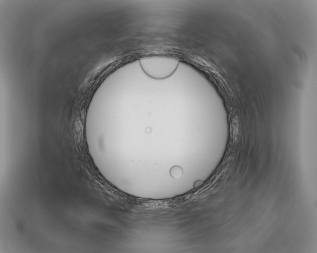X0000113861446200909241016
