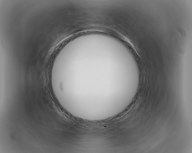 X0000113861448200909241016