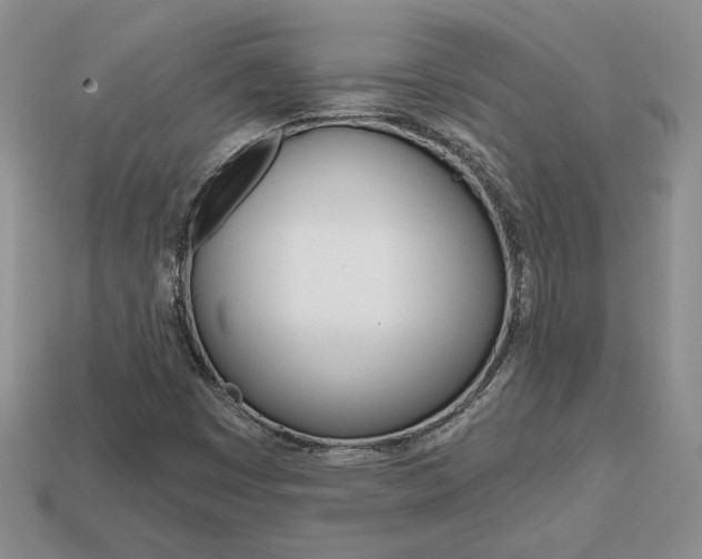 X0000113861449200909241016