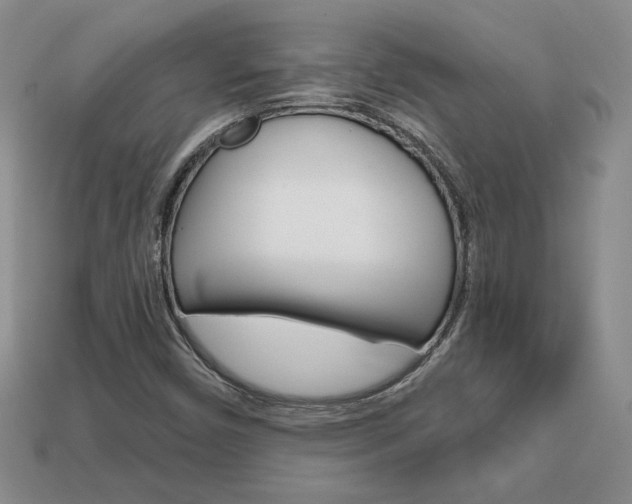 X0000113861450200909241016