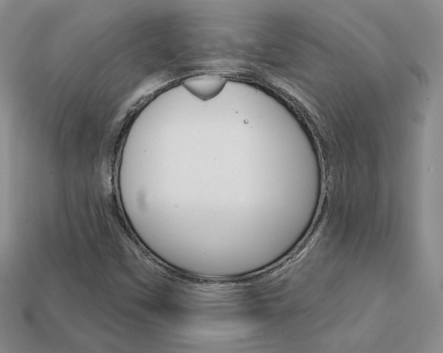 X0000113861451200909241016