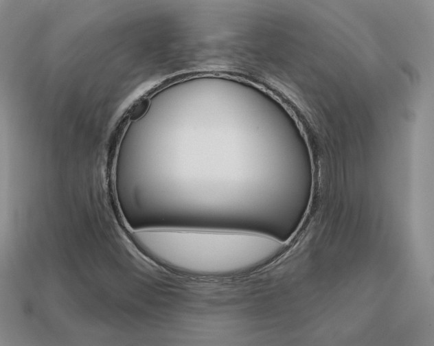 X0000113861452200909241016