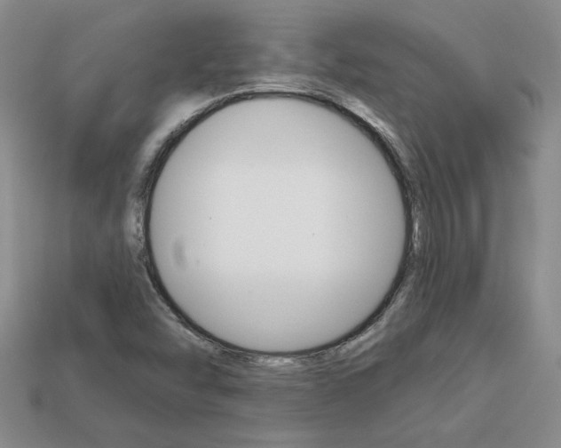 X0000113861454200909241016