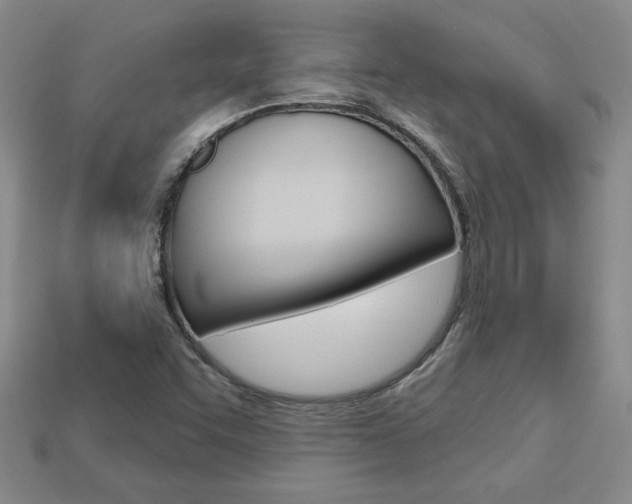 X0000113861455200909241016