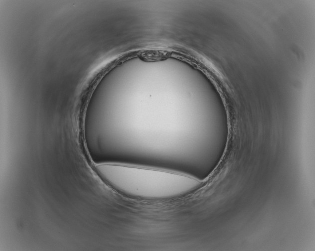 X0000113861456200909241016