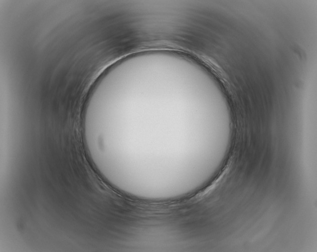 X0000113861457200909241016