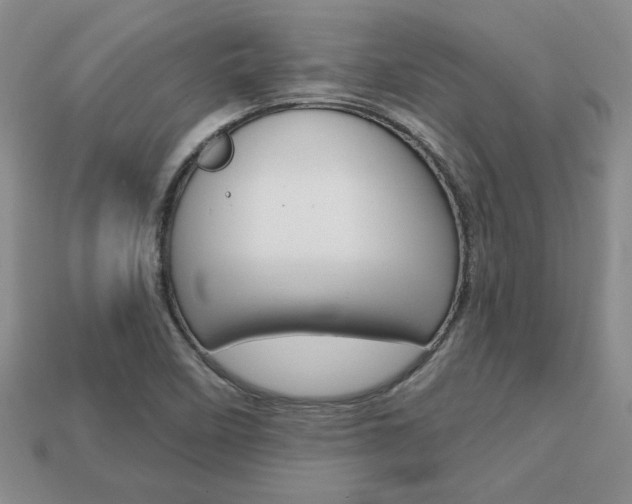 X0000113861458200909241016