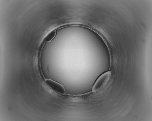 X0000113861460200909241016