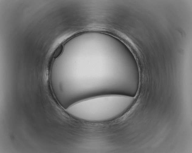 X0000113861461200909241016