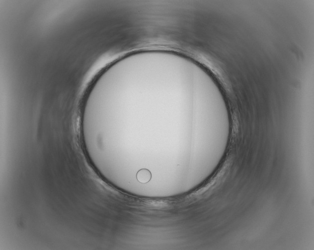 X0000113861462200909241016