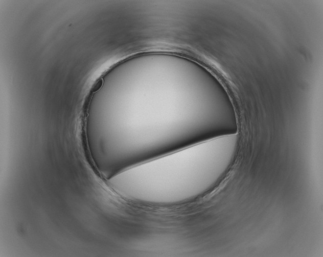 X0000113861463200909241016
